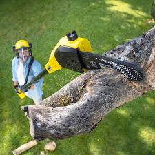 Lawn Maintenance Plans in Perryman, MD